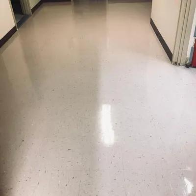 The Best of The Best Cleaning & Detailing Services