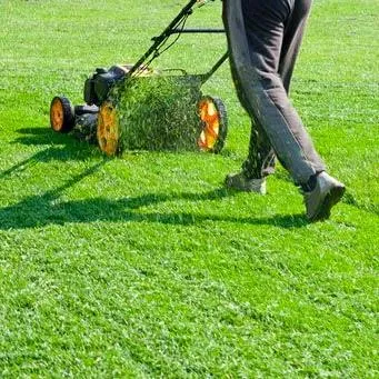 Green Stripe Lawn Care, LLC