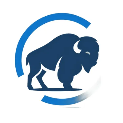 Blue Bison Services
