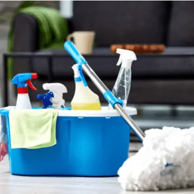 Executive Dust Buster