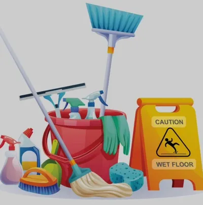 Phoenix cleaning