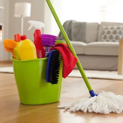 Heidy’s clean freaks LLC