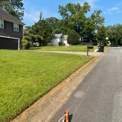 Over the hedge lawncare