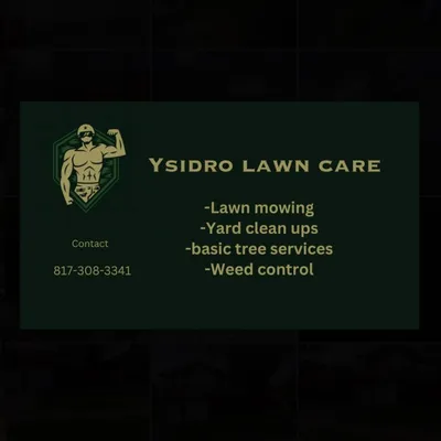 Ysidro lawn care