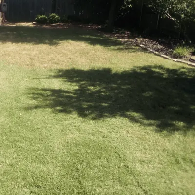 Tuttles mowing