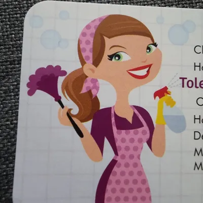 tolentino cleaning services