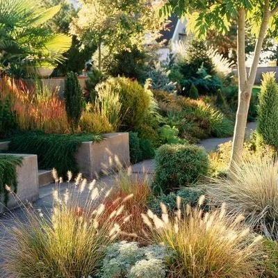 LCG Lawn Care Landscaping