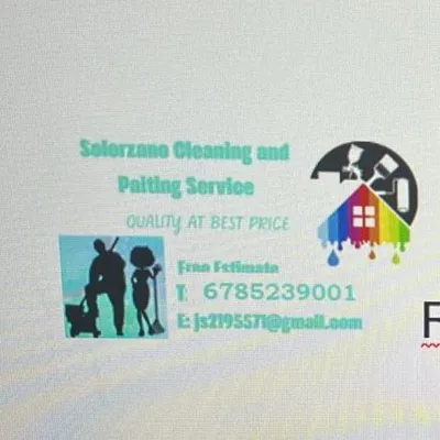 Solorzano cleaning and painting service