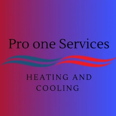 Pro One services