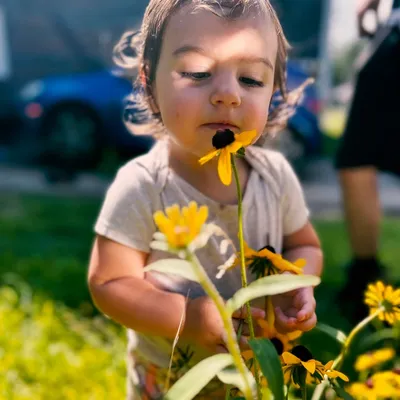 Virginia