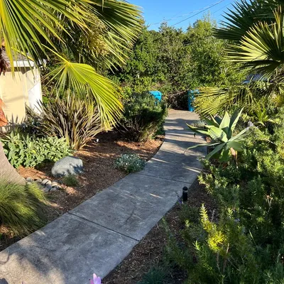 AR Lendscaper and gardenservice