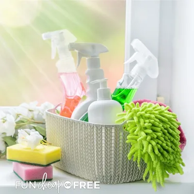 Constanza clean