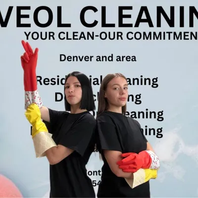 VEOL CLEANING