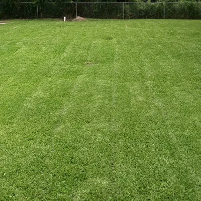 Andres lawn service