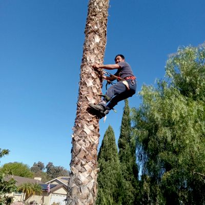 Castro Brothers Landscaping
