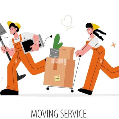 Brothers mover’s