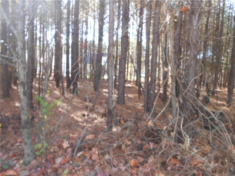 0 Tidewater Road, Salisbury, NC 28146 for Sale