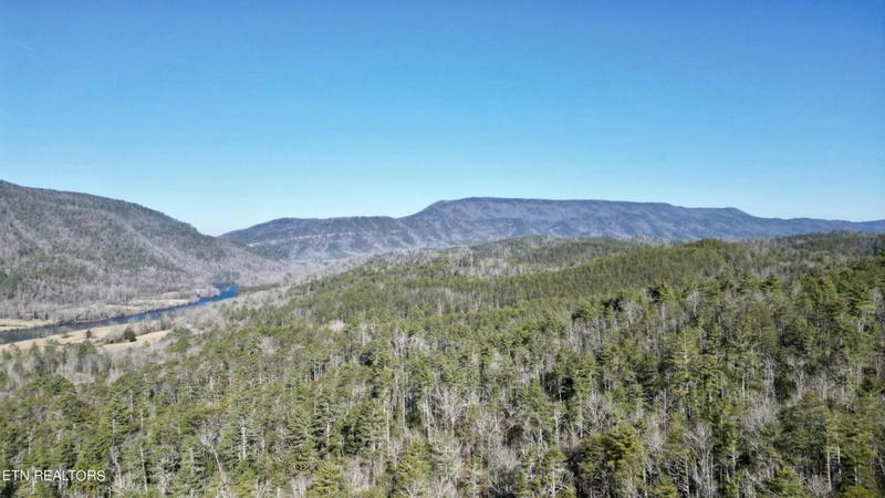 0 0 HAMBRIGHT RD, Reliance, TN 37369 Land For Sale  MLS# 1251596 for Rent
