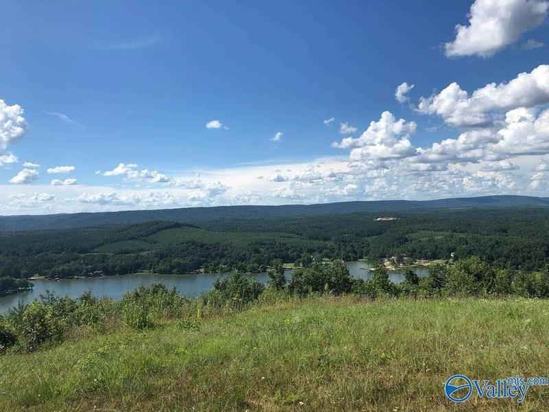 620202829 Property, Cedar Bluff, AL 35959  620202829 for Sale
