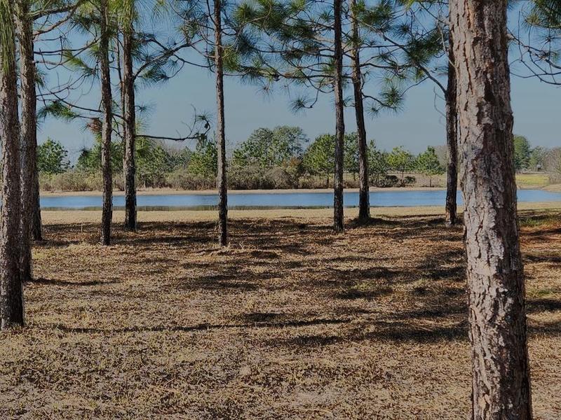 Ochlocknee, Thomas County, GA Undeveloped Land, Homesites for sale Property ID: 418617675