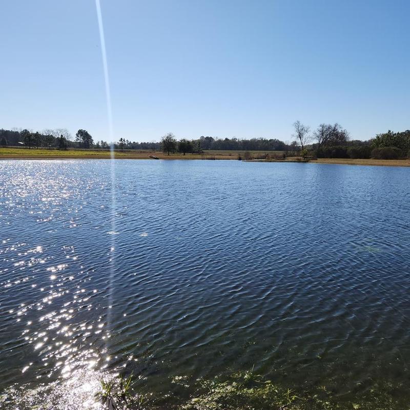 Ochlocknee, Thomas County, GA Undeveloped Land for sale Property ID: 418617673