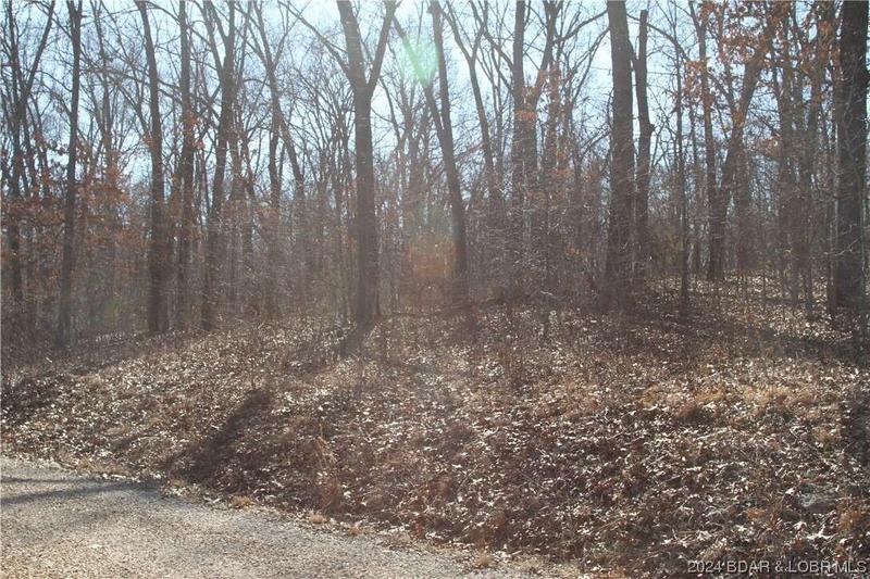 Guccione Road, Edwards, MO 65326  624964338 for Sale