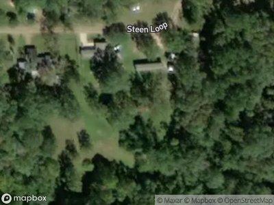 Steen Loop for Sale
