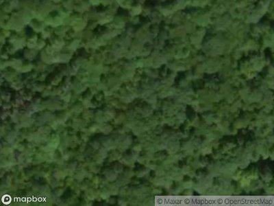 Bogardus Rd for Sale