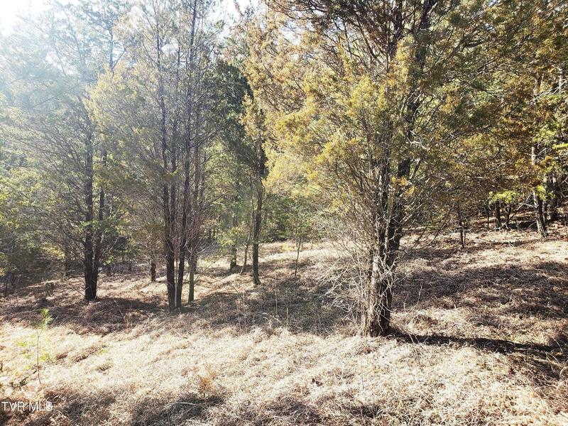 00 Buzzard Roost Road, Bulls Gap, TN 37711  623826188 for Sale