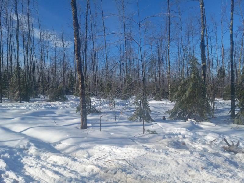 Vienna, Kennebec County, ME Undeveloped Land for sale Property ID: 418822496