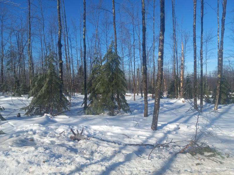 Vienna, Kennebec County, ME Undeveloped Land, Homesites for sale Property ID: 418822494