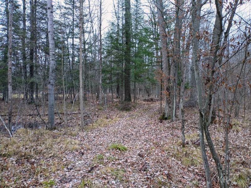 Beaverton, Gladwin County, MI Undeveloped Land for sale Property ID: 418478201