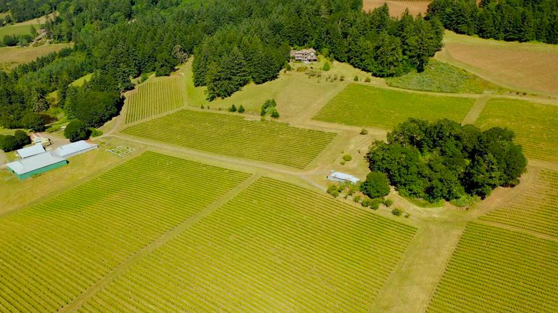 7820 SE Amity Road, Amity OR 97101 for Sale
