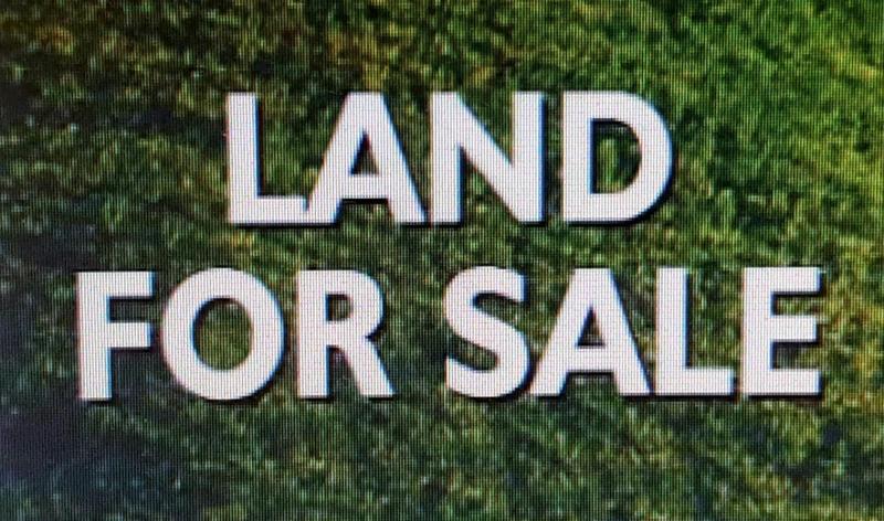 LOT 29 FAME AVE, Tuscumbia, AL 35674 Land For Sale  MLS# 514431