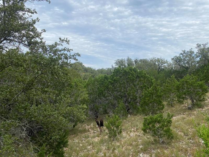 Frio Canyon Loop, Concan, TX 78838 for Sale