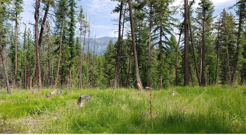 Eureka, Lincoln County, MT Undeveloped Land for sale Property ID: 418654656