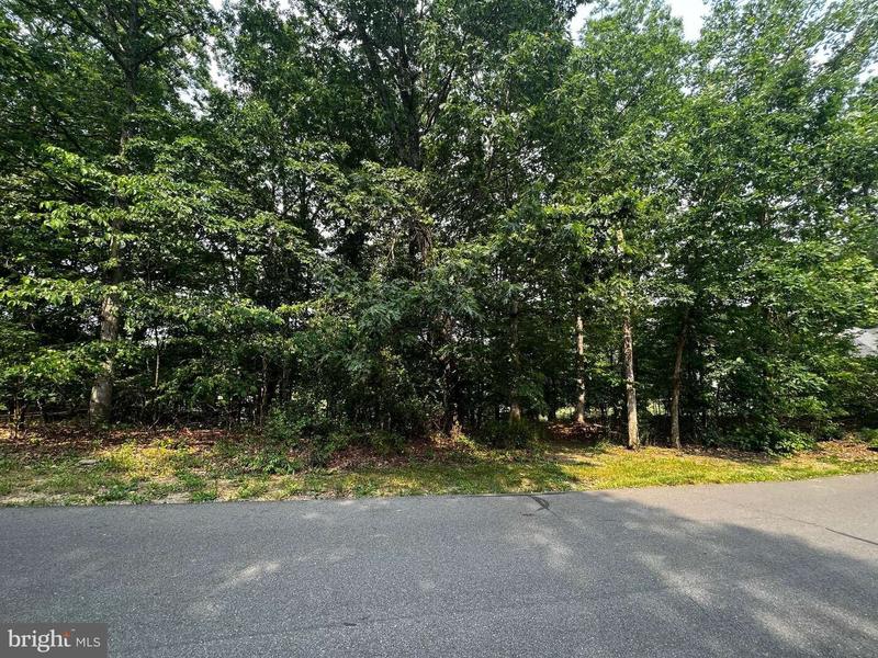 Lot 67 N LAKEWOOD DRIVE, RIDGELEY, WV 26753  618038553 for Sale