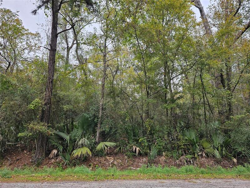 0 A Mc Gregor Road, Conroe, TX 77302 for Sale