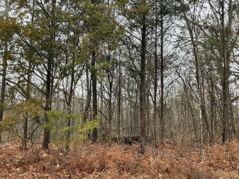 450 Molly Lane, Rockaway Beach, MO 65740  620810172 for Sale