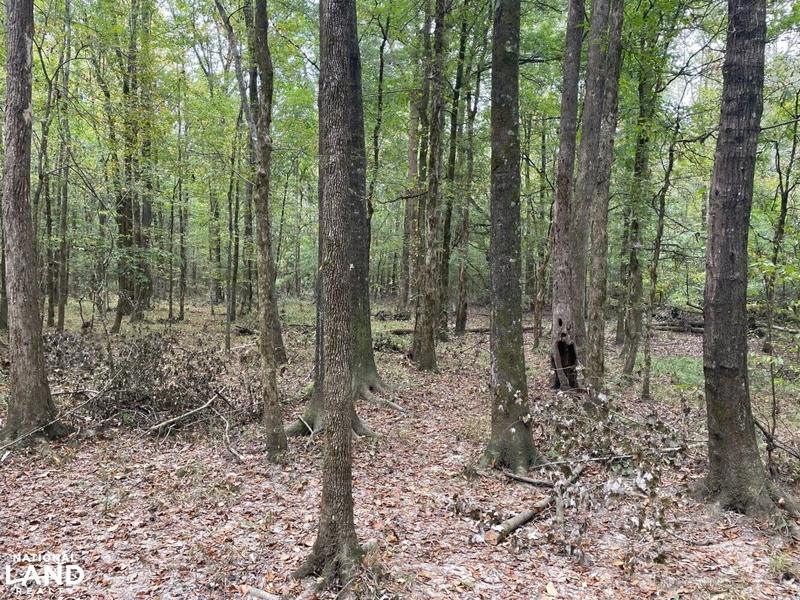 Carthage, Leake County, MS Recreational Property, Timberland Property, Hunting Property for sale Property ID: 415089441