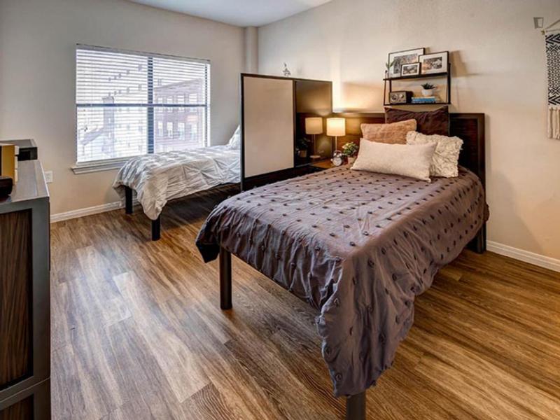 Excellent double bedroom in West Campus for Rent