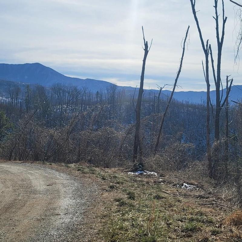 Gatlinburg, Sevier County, TN Undeveloped Land, Homesites for sale Property ID: 418808900