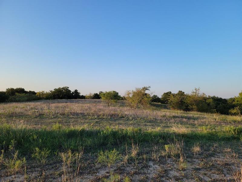 163 Pecan Grove Dr, Boyd, TX 76023 for Sale