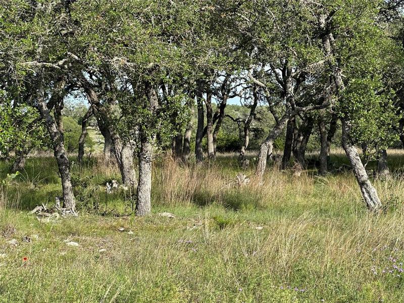 142A Oryx Ln, Lampasas, TX 76550 for Sale
