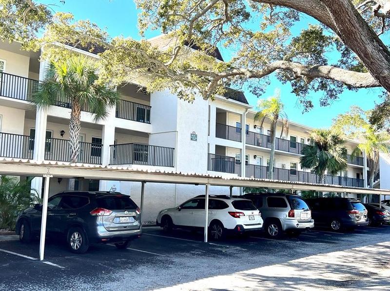 871 New York Ave #206, Dunedin, FL 34698 - MLS T3503075 for Rent