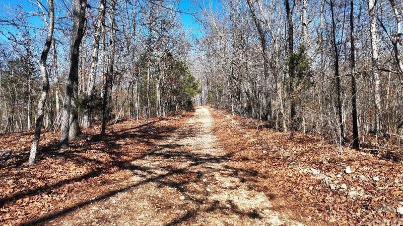 Mountain View, Stone County, AR Undeveloped Land for sale Property ID: 418618194