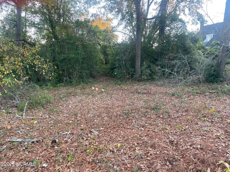Tbd Entwistle Street, Hamlet, NC 28345 for Sale