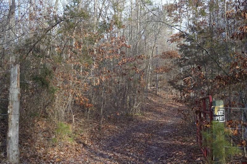 155 PLUMTREE TRAIL, Norfork, AR 72658  624966245 for Sale