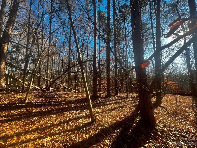 Davidson, Iredell County, NC Undeveloped Land, Homesites for sale Property ID: 418710502