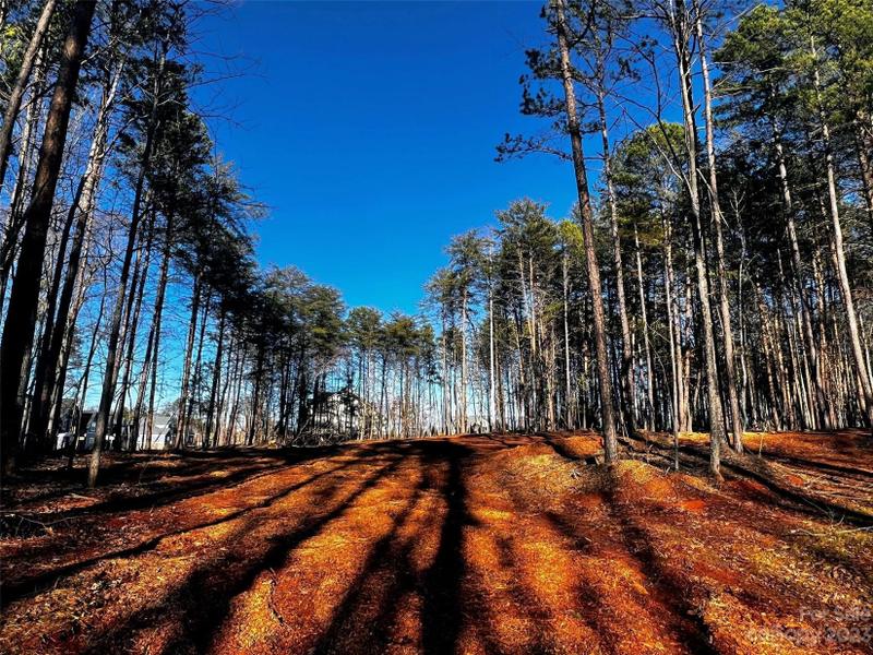 Davidson, Iredell County, NC Undeveloped Land, Homesites for sale Property ID: 418710512